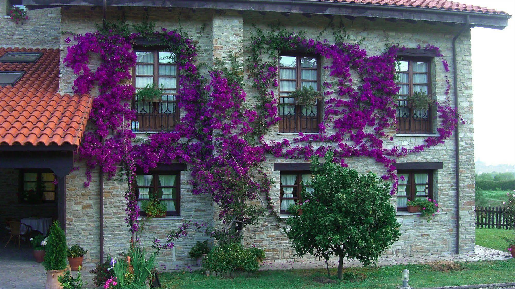 Hotel Rural Casona De Cefontes Exteriér fotografie
